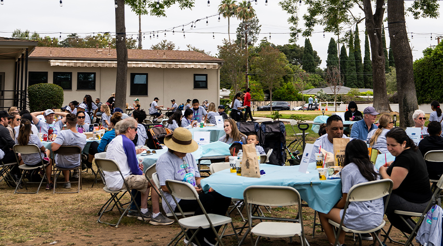 Family Fair